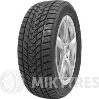 Pace Antarctica 5 Plus 195/65 R15 91H